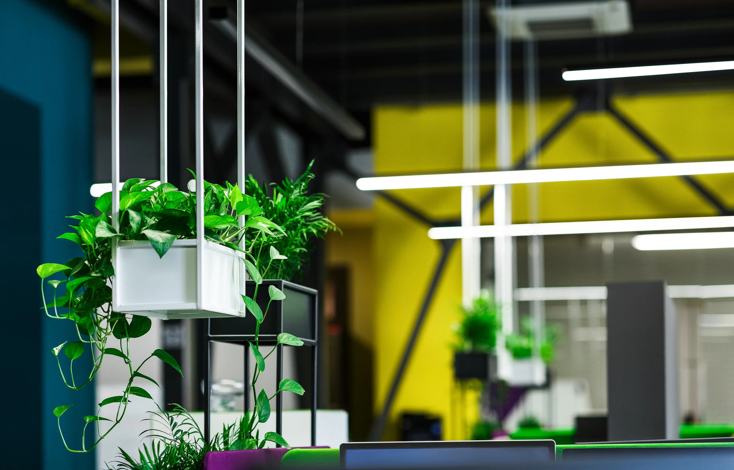 Smart & Dimming Protocols
